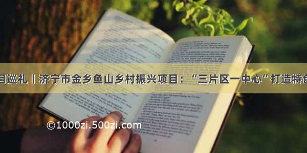 重点项目巡礼丨济宁市金乡鱼山乡村振兴项目：“三片区一中心”打造特色示范区