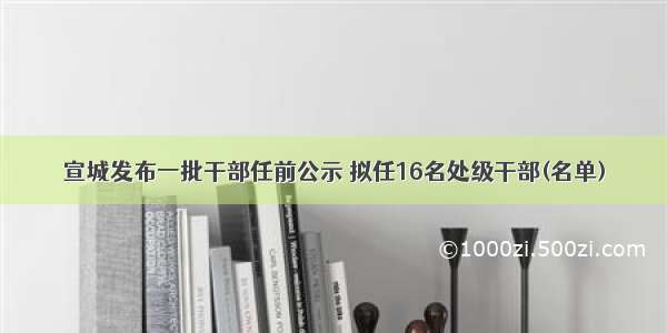 宣城发布一批干部任前公示 拟任16名处级干部(名单)