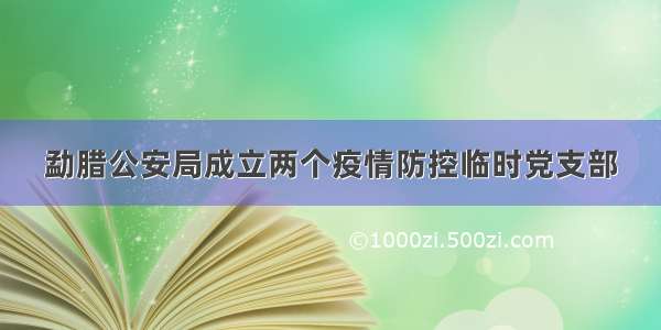 勐腊公安局成立两个疫情防控临时党支部