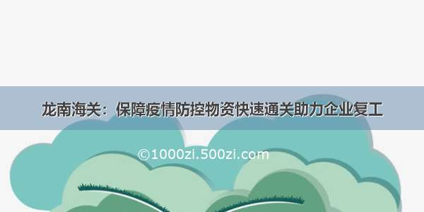 龙南海关：保障疫情防控物资快速通关助力企业复工