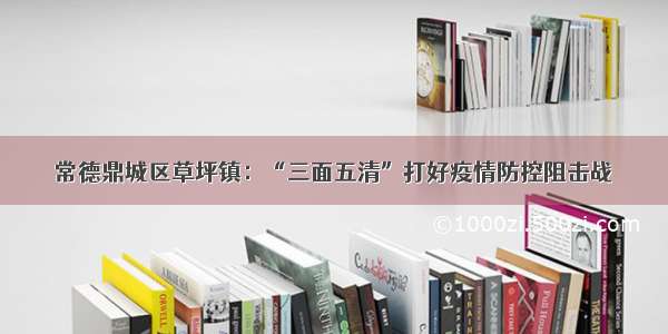 常德鼎城区草坪镇：“三面五清”打好疫情防控阻击战