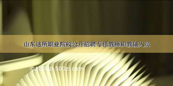 山东这所职业院校公开招聘专任教师和教辅人员