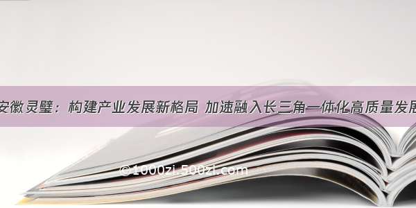 安徽灵璧：构建产业发展新格局 加速融入长三角一体化高质量发展