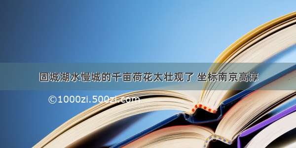 固城湖水慢城的千亩荷花太壮观了 坐标南京高淳