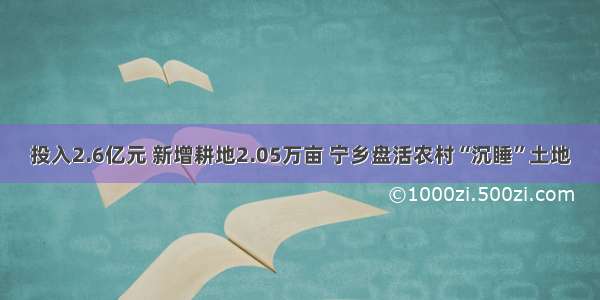 投入2.6亿元 新增耕地2.05万亩 宁乡盘活农村“沉睡”土地