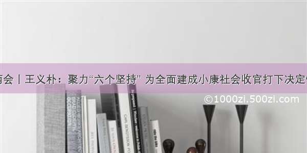 淄博两会丨王义朴：聚力“六个坚持” 为全面建成小康社会收官打下决定性基础