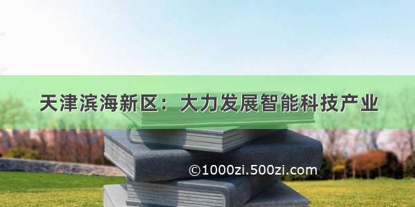 天津滨海新区：大力发展智能科技产业