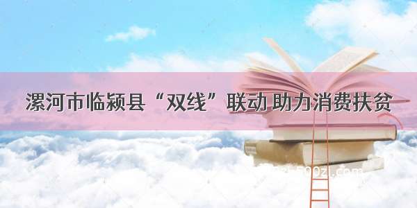 漯河市临颍县“双线”联动 助力消费扶贫