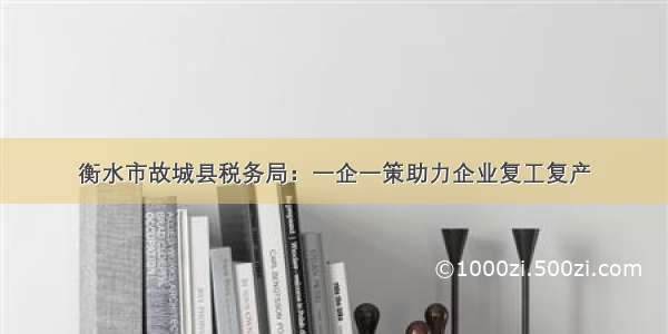 衡水市故城县税务局：一企一策助力企业复工复产