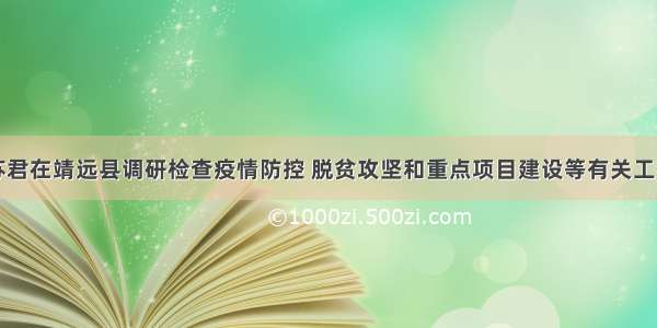 苏君在靖远县调研检查疫情防控 脱贫攻坚和重点项目建设等有关工作