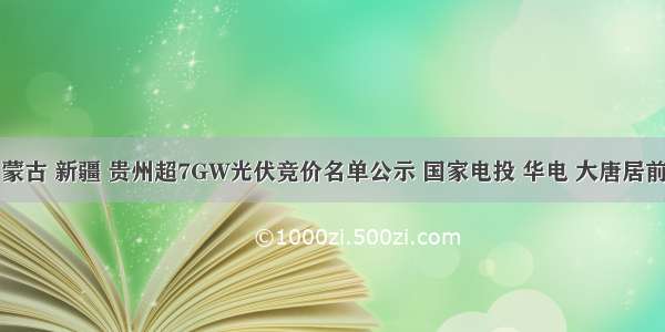 内蒙古 新疆 贵州超7GW光伏竞价名单公示 国家电投 华电 大唐居前三