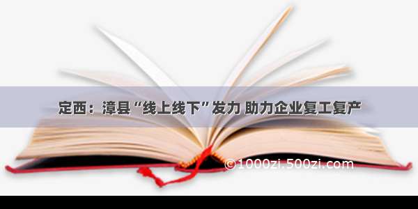 定西：漳县“线上线下”发力 助力企业复工复产