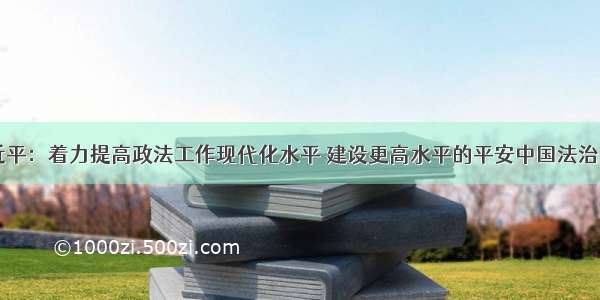 习近平：着力提高政法工作现代化水平 建设更高水平的平安中国法治中国