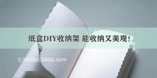 纸盒DIY收纳架 能收纳又美观！