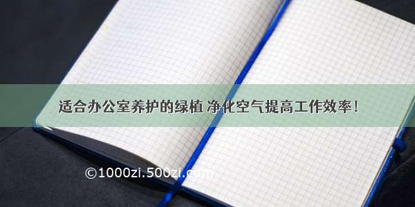 适合办公室养护的绿植 净化空气提高工作效率！