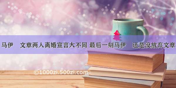 马伊琍文章两人离婚宣言大不同 最后一刻马伊琍还是没放弃文章