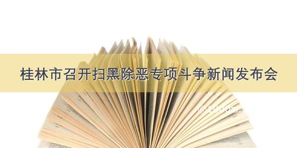 桂林市召开扫黑除恶专项斗争新闻发布会