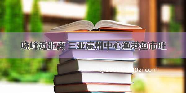 晓峰近距离 三亚崖州中心渔港鱼市旺