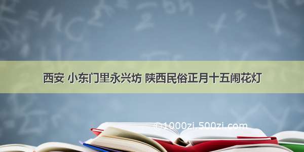 西安 小东门里永兴坊 陕西民俗正月十五闹花灯