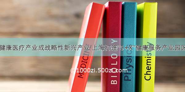 健康医疗产业成战略性新兴产业 上海打造“5+X”健康服务产业园区