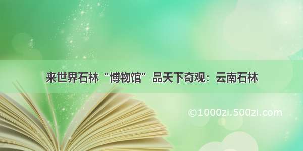 来世界石林“博物馆”品天下奇观：云南石林