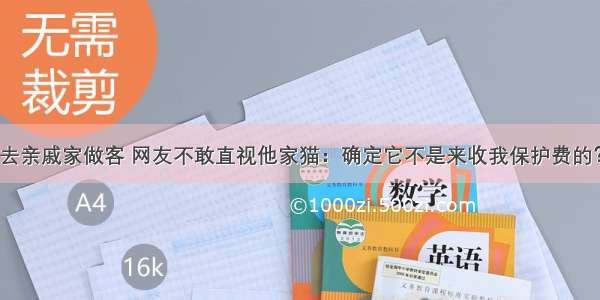 去亲戚家做客 网友不敢直视他家猫：确定它不是来收我保护费的？