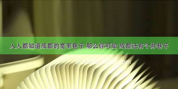 人人都知道成都的宽窄巷子 那么你可知 成都还有个井巷子