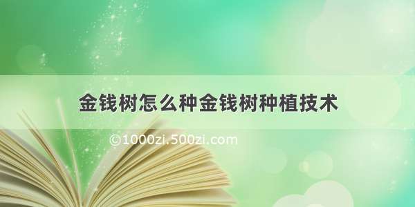 金钱树怎么种金钱树种植技术