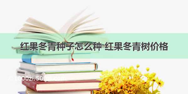 红果冬青种子怎么种 红果冬青树价格