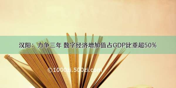 汉阳：力争三年 数字经济增加值占GDP比重超50%