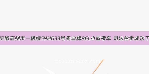 安徽亳州市一辆皖SYH033号奥迪牌A6L小型轿车 司法拍卖成功了