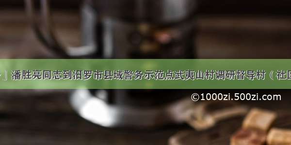 「县域警务」潘胜亮同志到汨罗市县域警务示范点武夷山村调研督导村（社区）警务工作