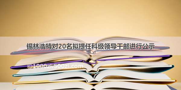 锡林浩特对20名拟提任科级领导干部进行公示