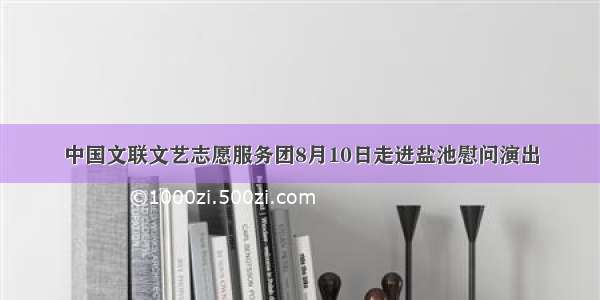 中国文联文艺志愿服务团8月10日走进盐池慰问演出