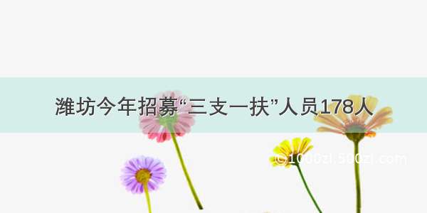 潍坊今年招募“三支一扶”人员178人