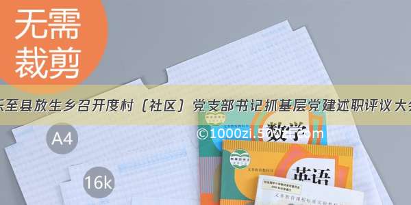 乐至县放生乡召开度村（社区）党支部书记抓基层党建述职评议大会