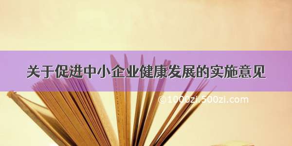 关于促进中小企业健康发展的实施意见