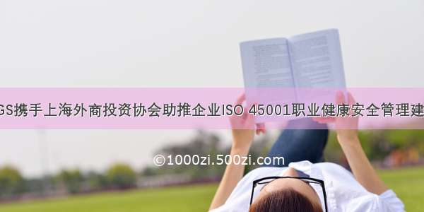 SGS携手上海外商投资协会助推企业ISO 45001职业健康安全管理建设