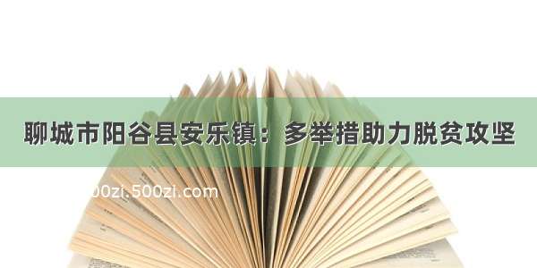 聊城市阳谷县安乐镇：多举措助力脱贫攻坚