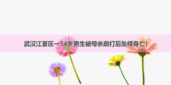 武汉江夏区一14岁男生被母亲扇打后坠楼身亡！