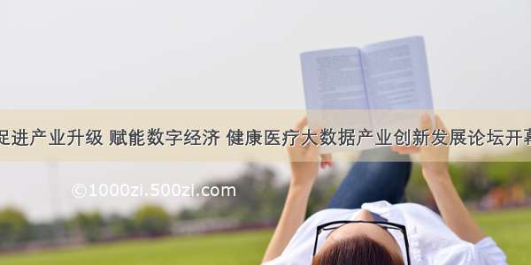 促进产业升级 赋能数字经济 健康医疗大数据产业创新发展论坛开幕