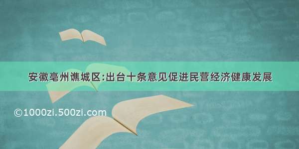 安徽亳州谯城区:出台十条意见促进民营经济健康发展