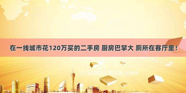 在一线城市花120万买的二手房 厨房巴掌大 厕所在客厅里！