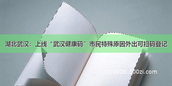 湖北武汉：上线“武汉健康码”市民特殊原因外出可扫码登记