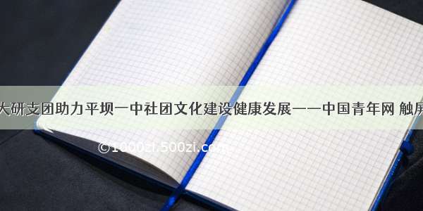 南大研支团助力平坝一中社团文化建设健康发展——中国青年网 触屏版