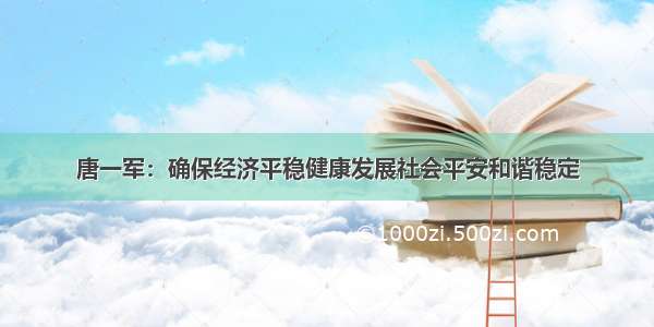 唐一军：确保经济平稳健康发展社会平安和谐稳定