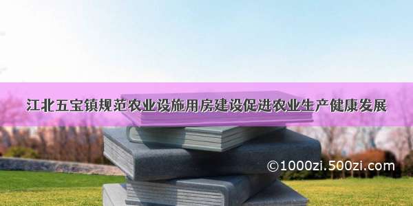 江北五宝镇规范农业设施用房建设促进农业生产健康发展