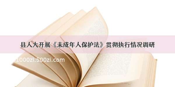 县人大开展《未成年人保护法》贯彻执行情况调研