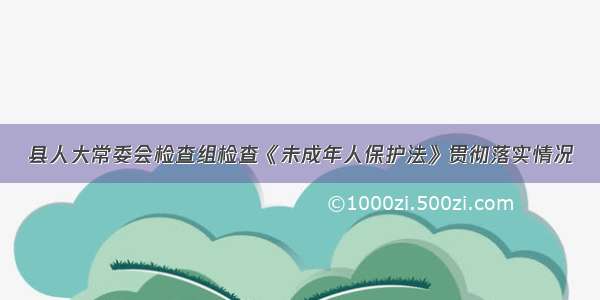 县人大常委会检查组检查《未成年人保护法》贯彻落实情况