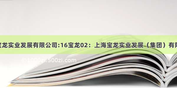 [公告]上海宝龙实业发展有限公司:16宝龙02：上海宝龙实业发展（集团）有限公司公司债